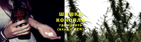 дживик Инсар