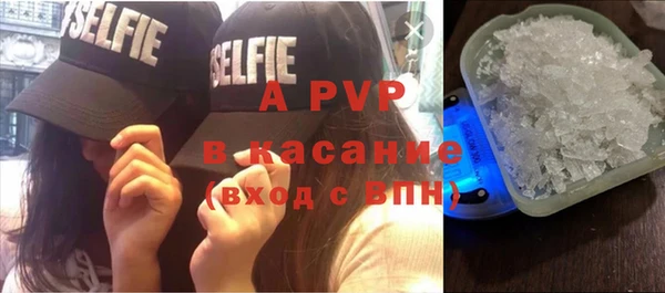 дживик Инсар