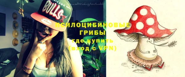 дживик Инсар