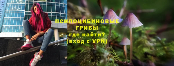 гидропоника Инта