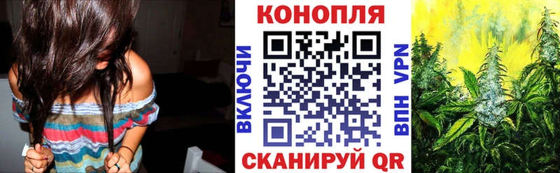 МАРИХУАНА Amnesia  Купить где  Волхов 